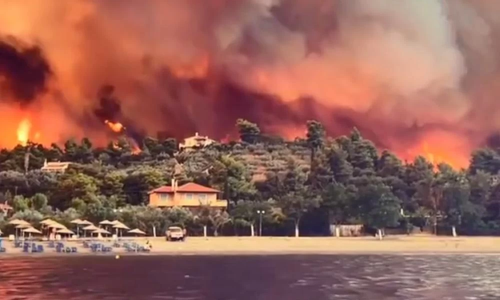 Φωτιά στην Εύβοια: Κοινοτάρχης Λίμνης - «Δεν υπάρχει μέλλον, δεν υπάρχει αύριο»